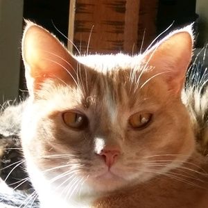 Meet your Posher, Cheri